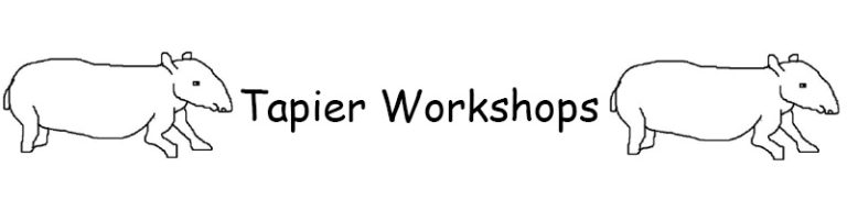 Tapier workshops