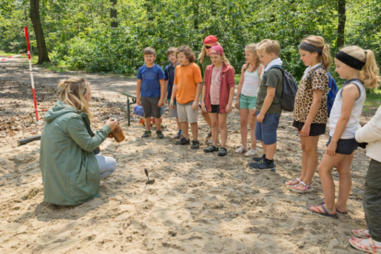 Sporen in de grond